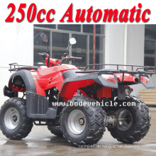 Neuen 250er Bode automatische Sport ATV kann für den Bauernhof ATV Einsatz (MC-356)
